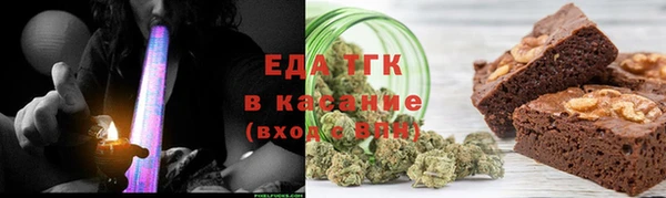 индика Абаза