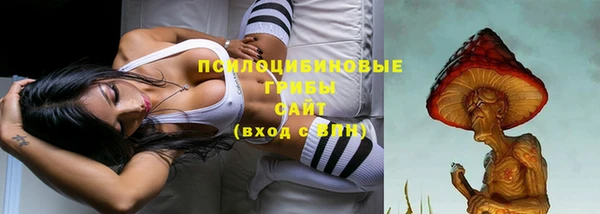 индика Абаза