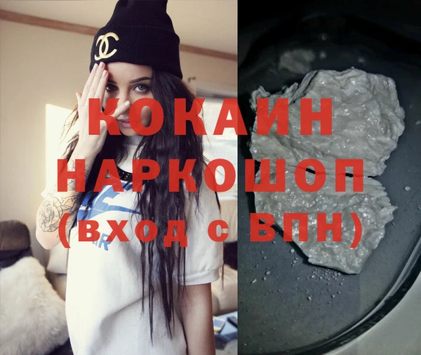 индика Абаза