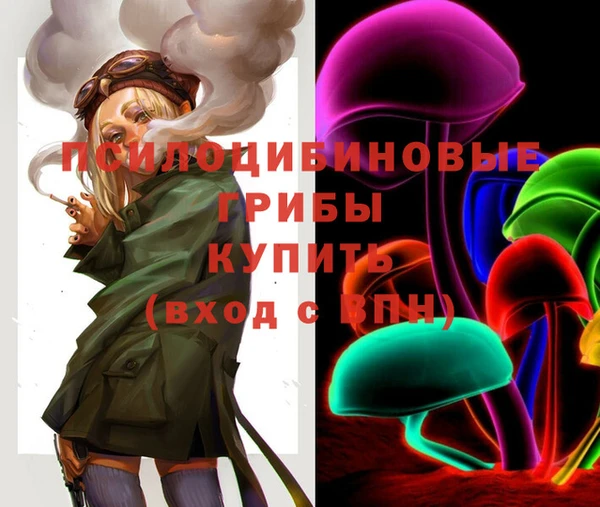 крисы Абинск