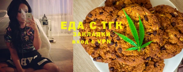 индика Абаза