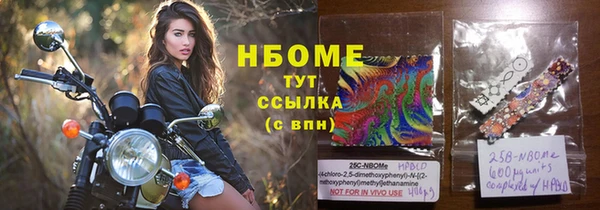индика Абаза