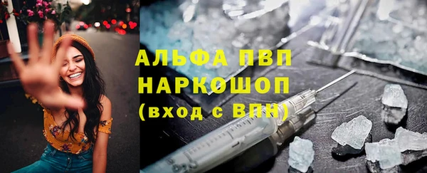 индика Абаза