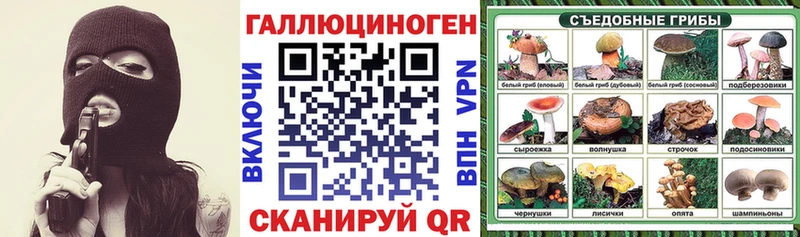 Псилоцибиновые грибы мицелий Западная Двина